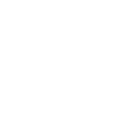 whatsapp icon branco